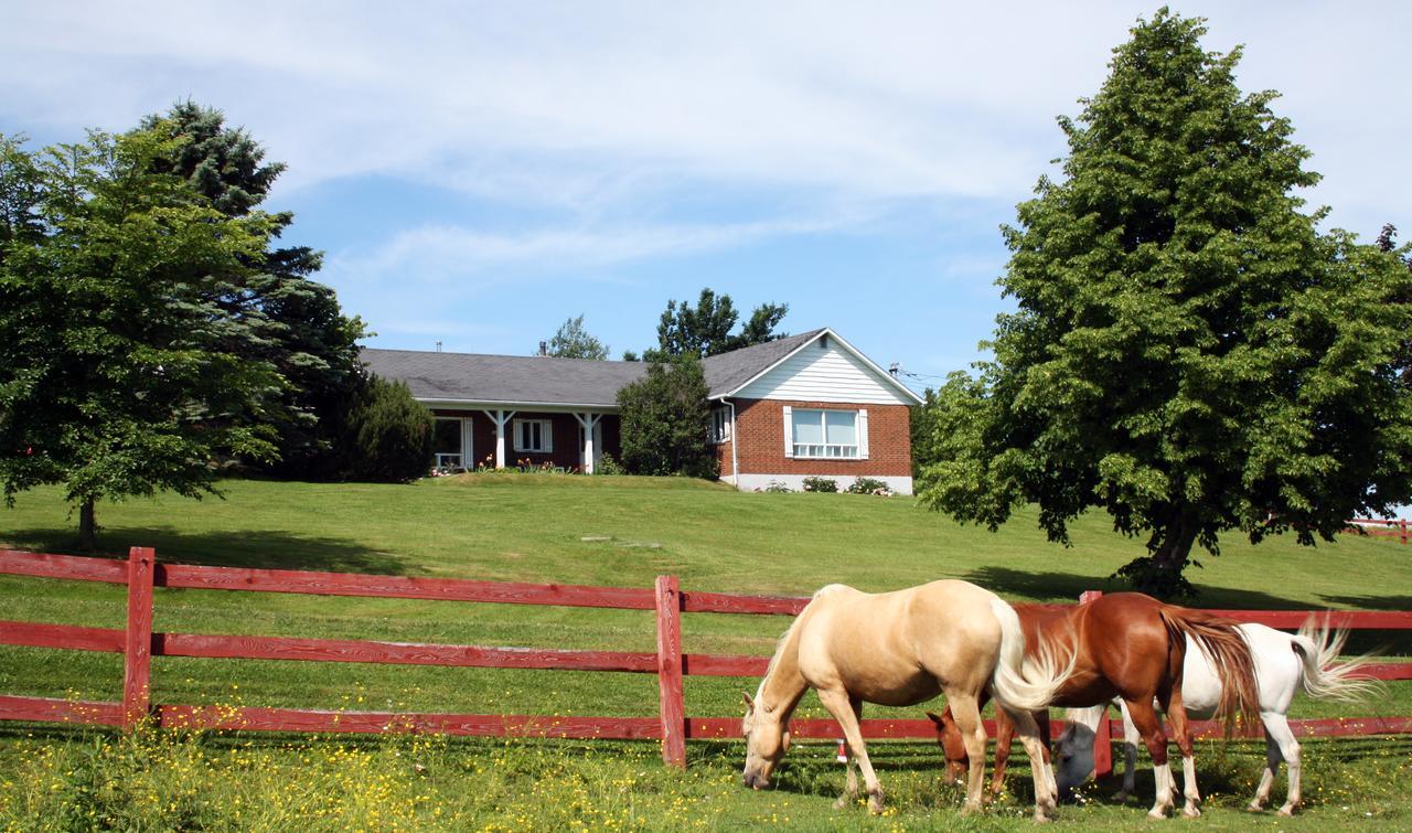 Ranch St-Hubert Bed & Breakfast Saint-Hermenegilde ภายนอก รูปภาพ
